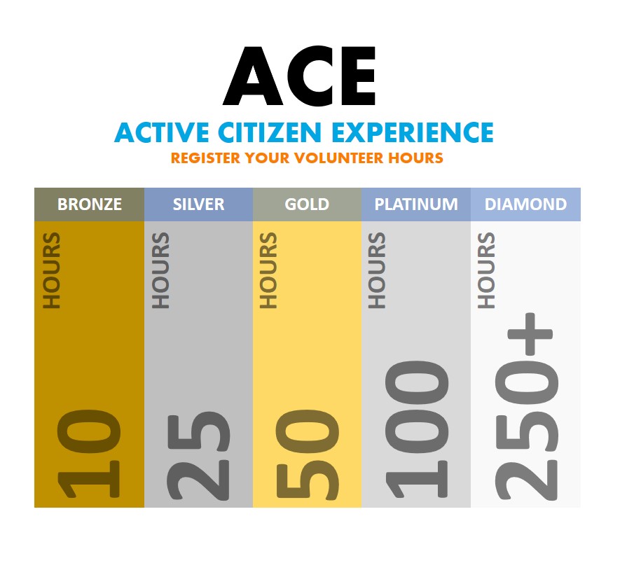 JCI UK ACE 2020